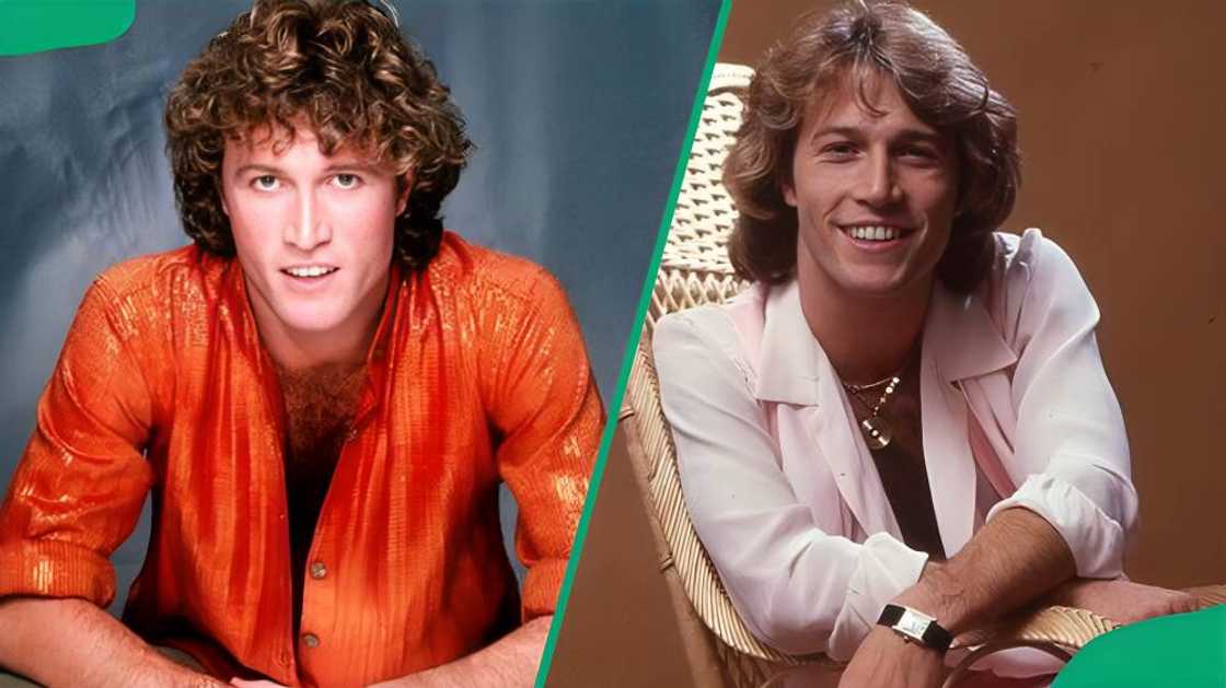 Peta Gibb Peta Gibb