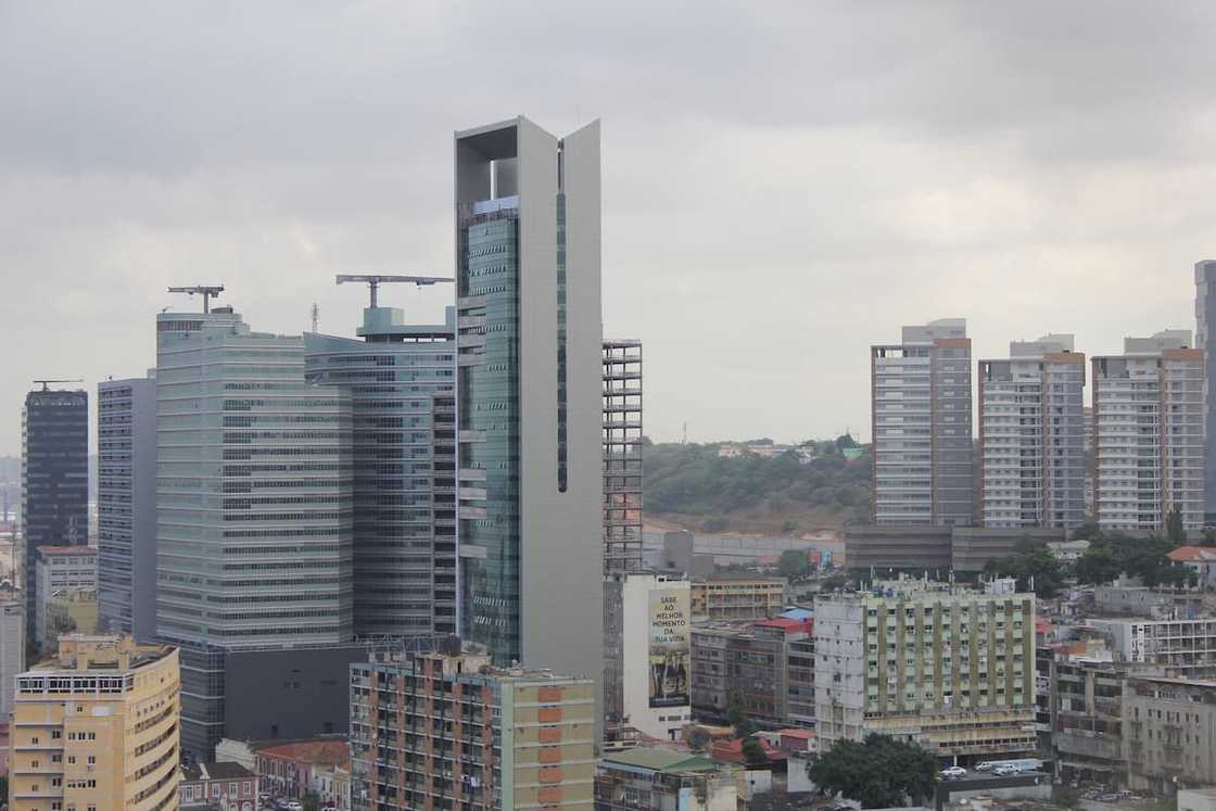 The Leonardo The Leonardo