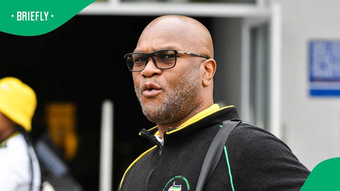 French authorities have alleged that former Minister of Police Nathi Mthethwa has gone missing