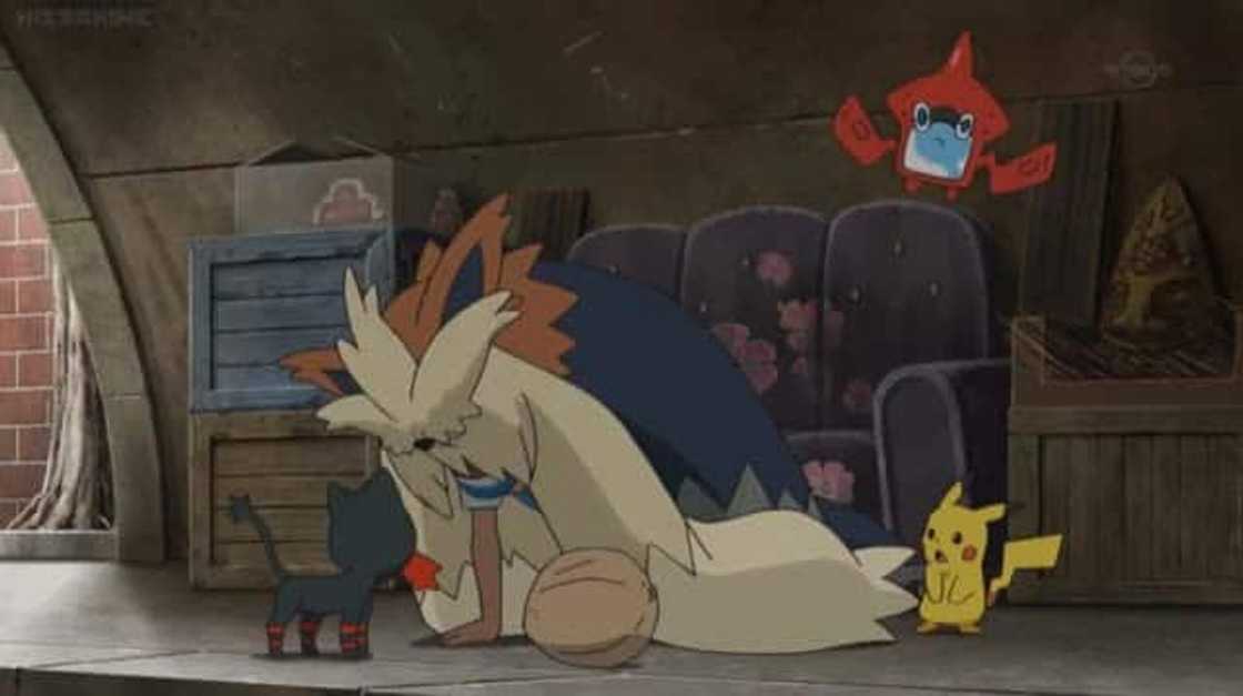 How many dog type Pokemons are there? How many dog type Pokemons are there?