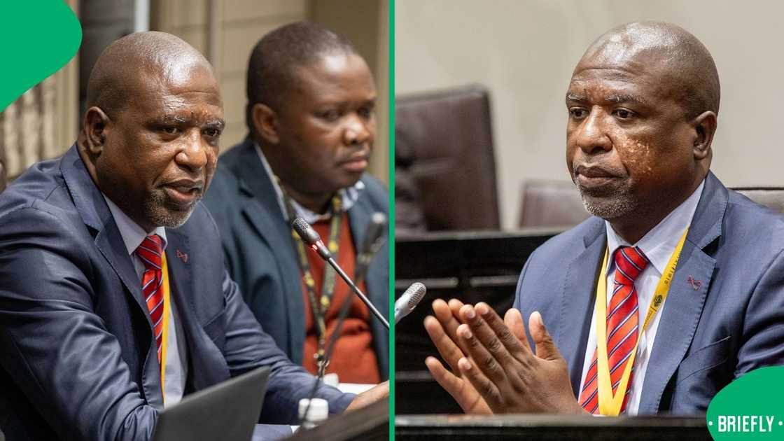 ANC MP Molapi Lekganyane has been appointed as the chairperson of the Ad Hoc Committee into General Nhlanhla Mkhwanazi's allegations ANC MP Molapi Lekganyane has been appointed as the chairperson of the Ad Hoc Committee into General Nhlanhla Mkhwanazi's allegations