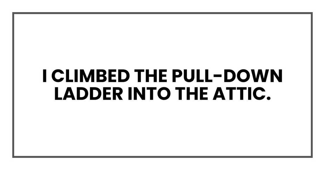 I climbed the pull-down ladder into the attic. I climbed the pull-down ladder into the attic.