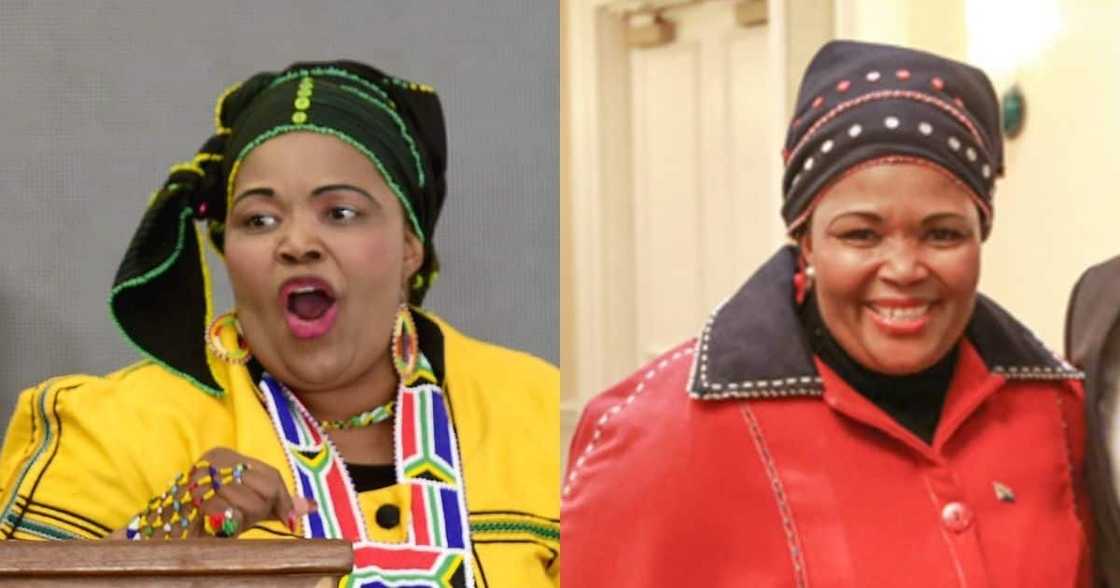 Pemmy Majodian Wants to Explain Son's Involvement in PPE Caucus Deal Pemmy Majodian Wants to Explain Son's Involvement in PPE Caucus Deal