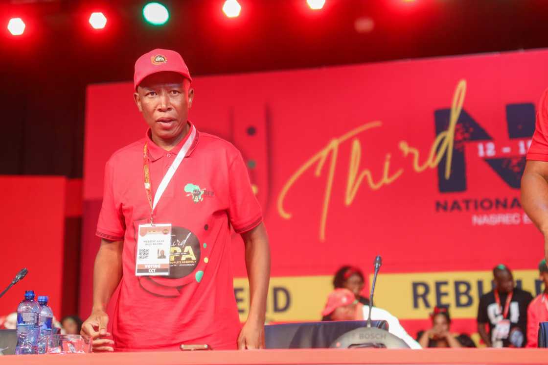 Julius Malema willl support the Expropriation Act if it goes to court