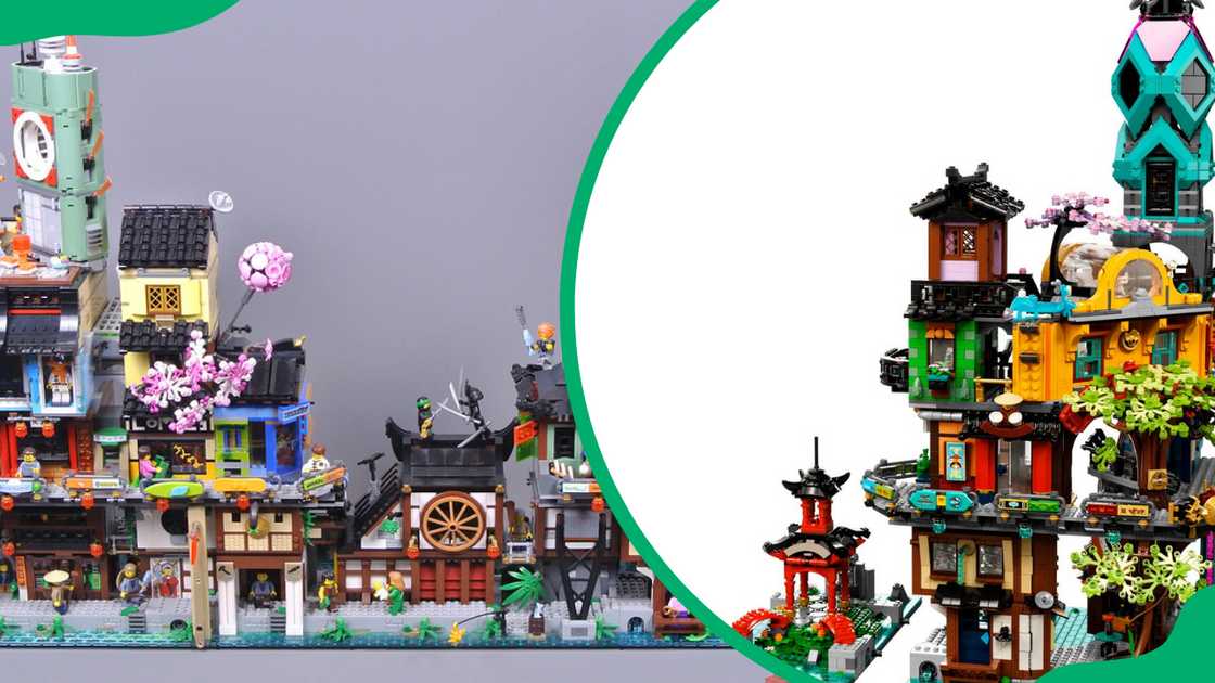 Lego Ninjago City Gardens