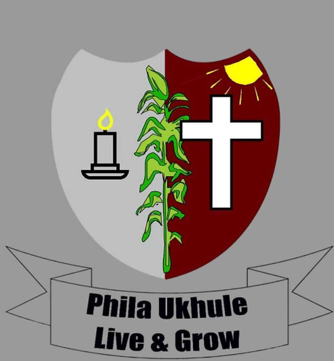 remedial schools for troubled youth in South Africa remedial schools for troubled youth in South Africa