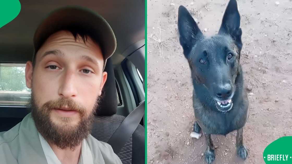 A man showed how intelligent his dog was. A man showed how intelligent his dog was.