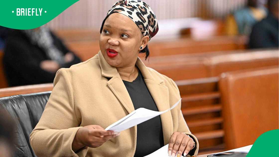 The NPA was accused of messing up the extradition of Moroadi Cholota The NPA was accused of messing up the extradition of Moroadi Cholota