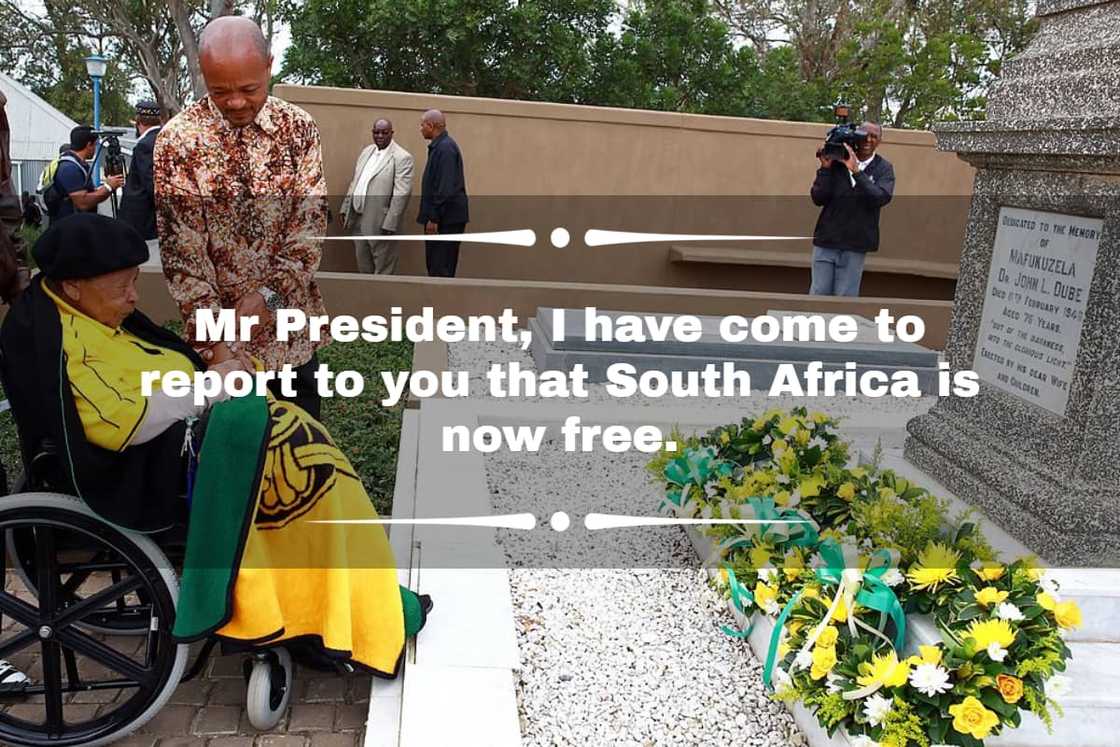 Freedom Day South Africa Freedom Day South Africa
