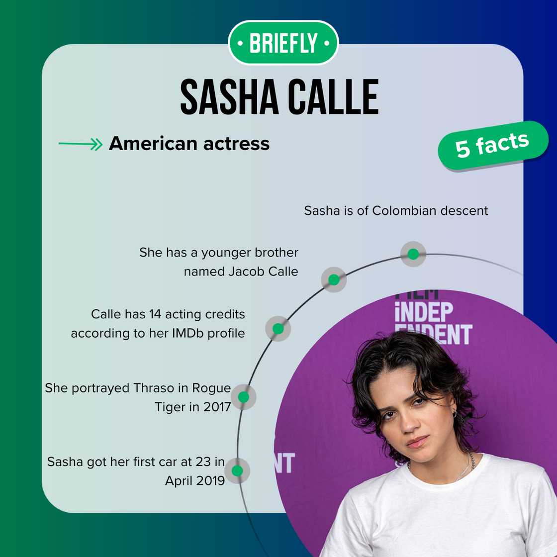 Sasha Calle's facts
