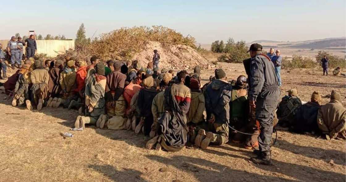 97 illegal miners found Gauteng farm 570 rounds of ammunition seized 97 illegal miners found Gauteng farm 570 rounds of ammunition seized