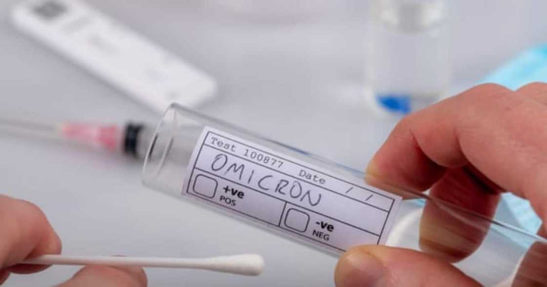 Omicron COVID-19 variant. Photo: The Guardian. Omicron COVID-19 variant. Photo: The Guardian.