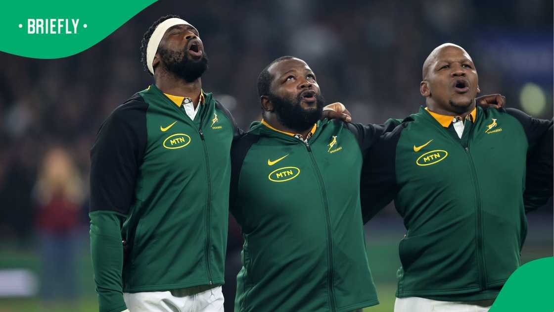 Springboks