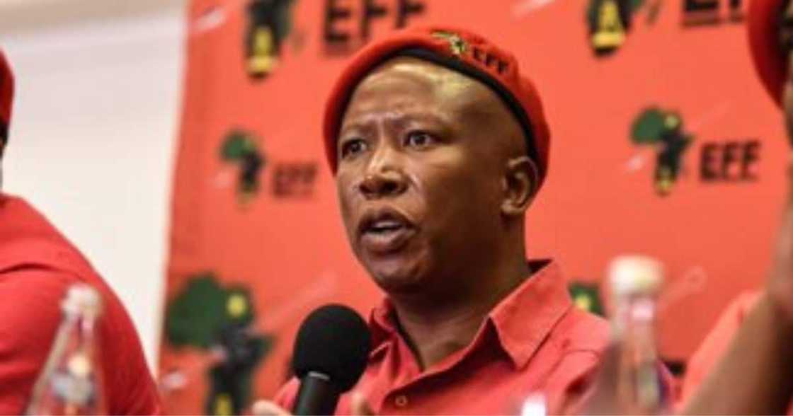 EFF, EDP houses, Sandton, City of Johannesburg