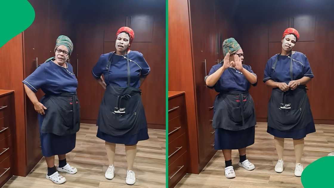 The duo made it clear that no amount of money would get them to clean a house with ten dogs