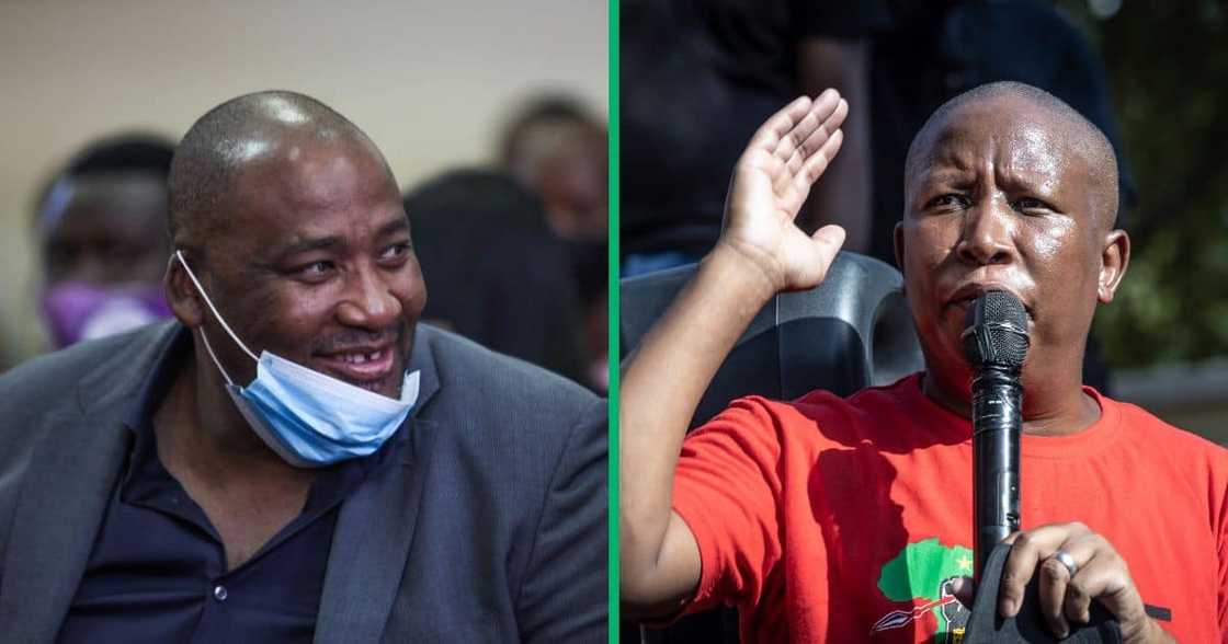 EFF's Julius Malema accused the PA's Gayton McKenzie of wanting to sell drugs in SA EFF's Julius Malema accused the PA's Gayton McKenzie of wanting to sell drugs in SA