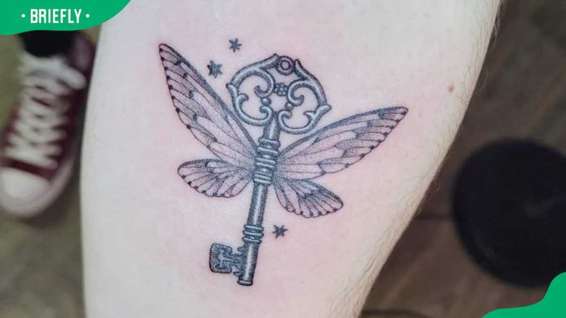 Dragonfly and key Dragonfly and key