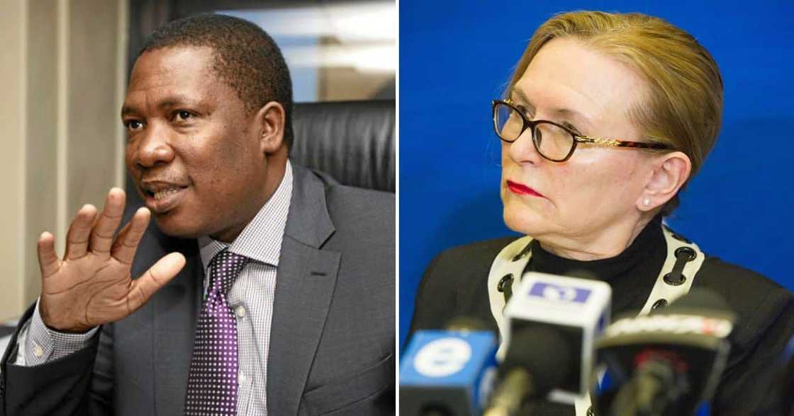 Panyaza Lesufi & Helen Zille Panyaza Lesufi & Helen Zille