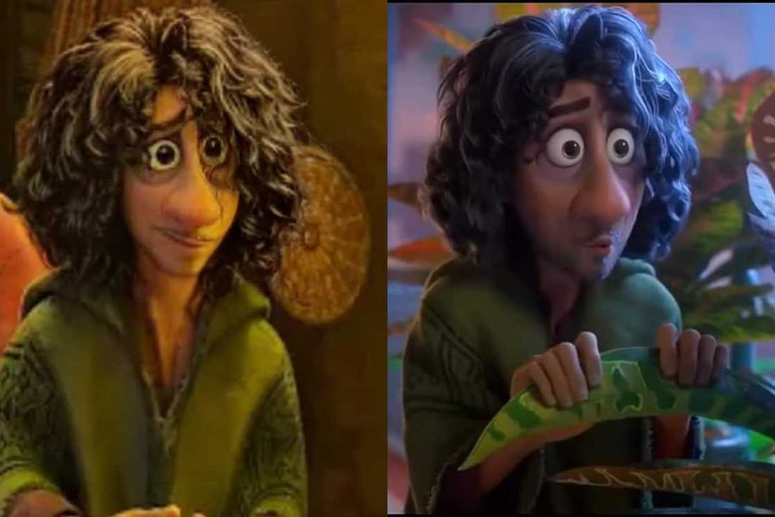 Bruno Madrigal Bruno Madrigal