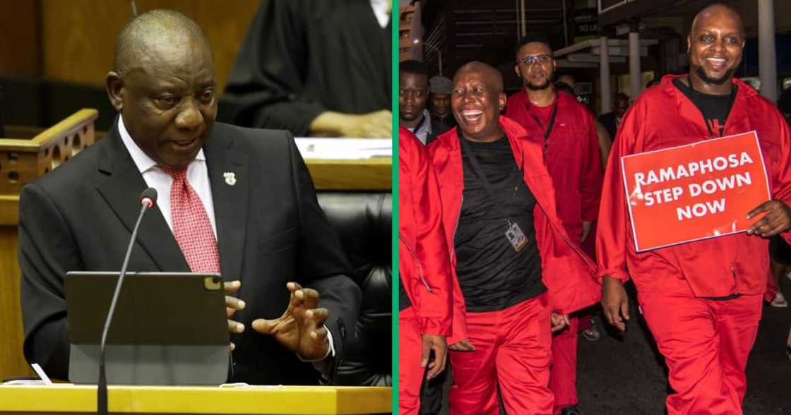 The people of Mzansi admit that they are missing the EFF's antics at the Sona this year with funny memes The people of Mzansi admit that they are missing the EFF's antics at the Sona this year with funny memes