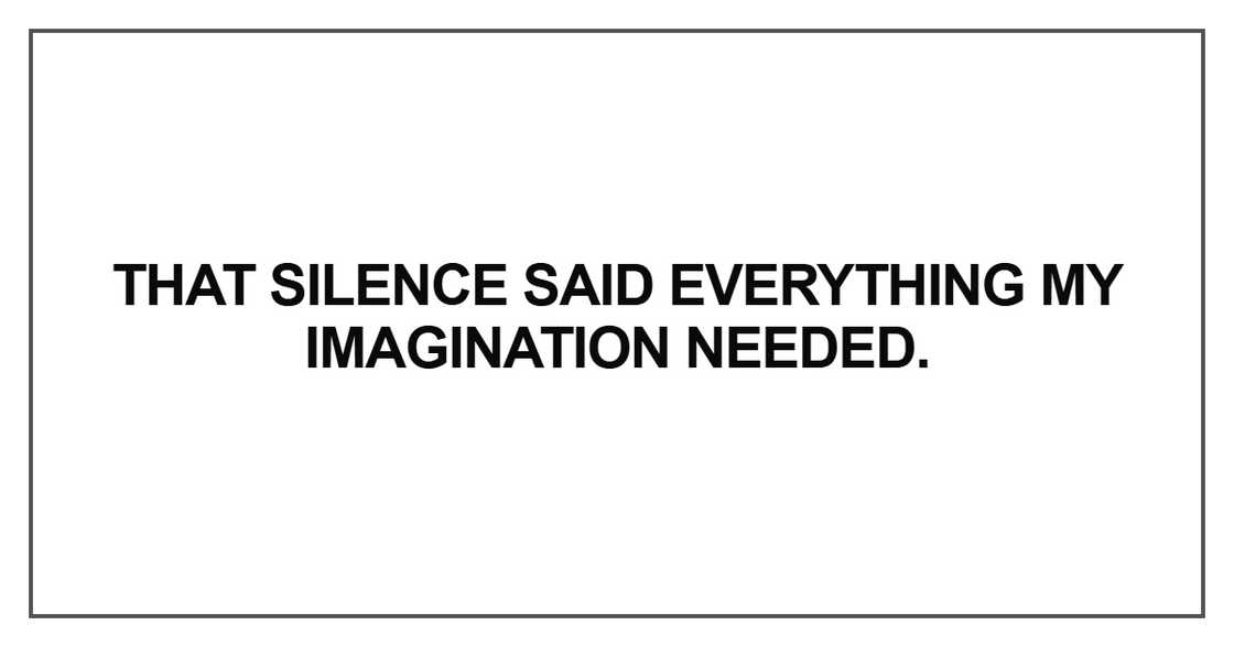 That silence said everything my imagination That silence said everything my imagination