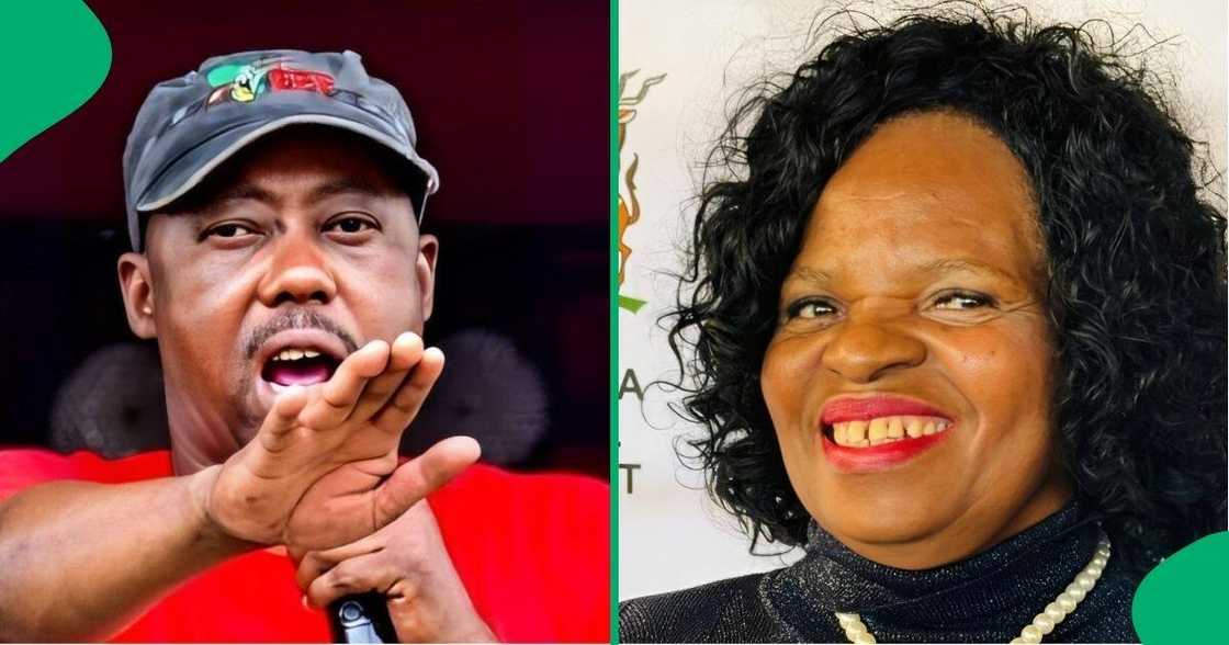 Mpumalanga's Education MEC Cathy Dlamini dismissed claims made by the EFF's Collen Sedibe that she tried to influence the appointment of service providers.