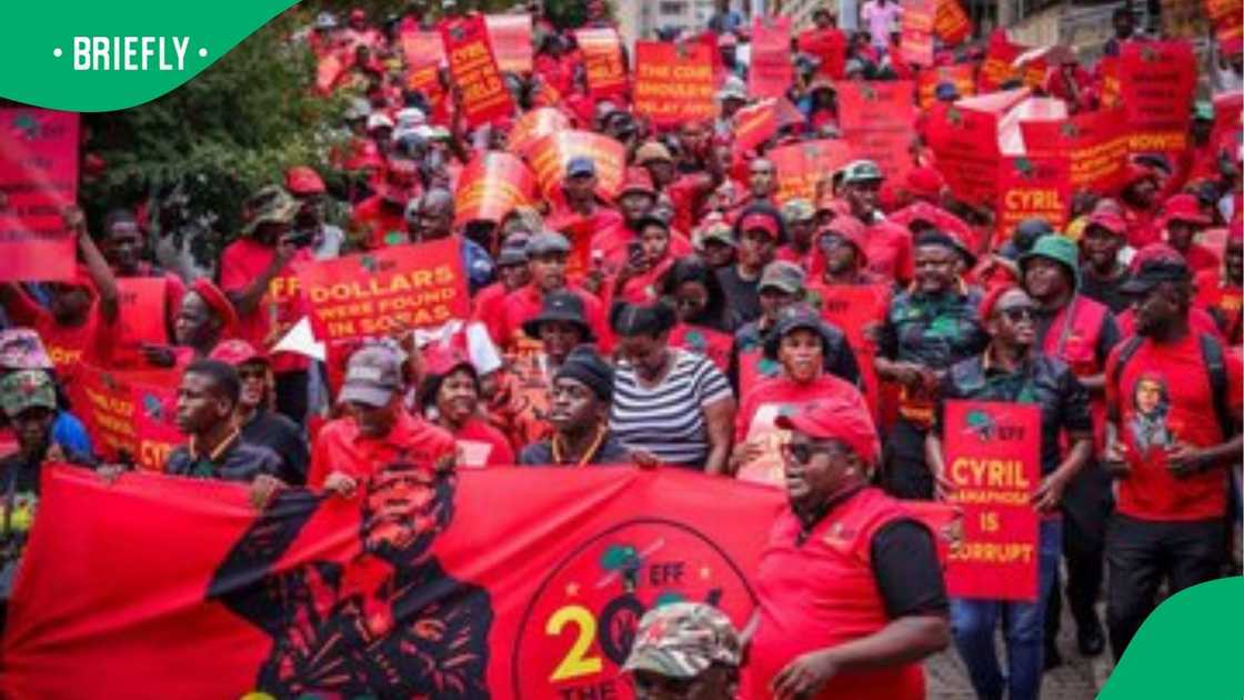 EFF members EFF members