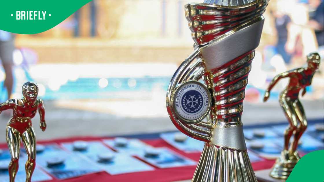 Hoërskool Menlopark outperforms private institutions Hoërskool Menlopark outperforms private institutions