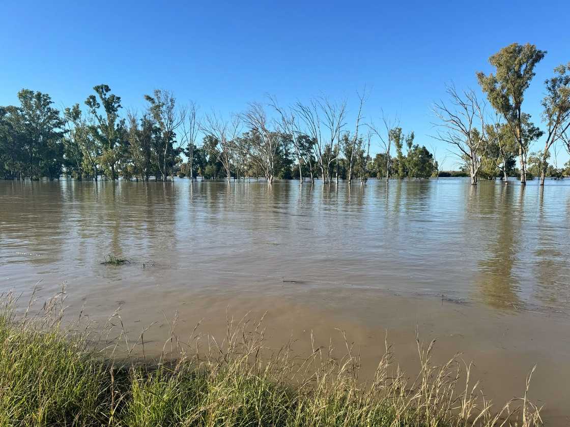 The Vaal River overflowed due to heavy rainfall The Vaal River overflowed due to heavy rainfall