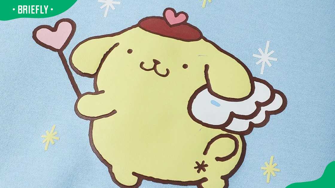 Pompompurin wearing a brown bucket hat Pompompurin wearing a brown bucket hat