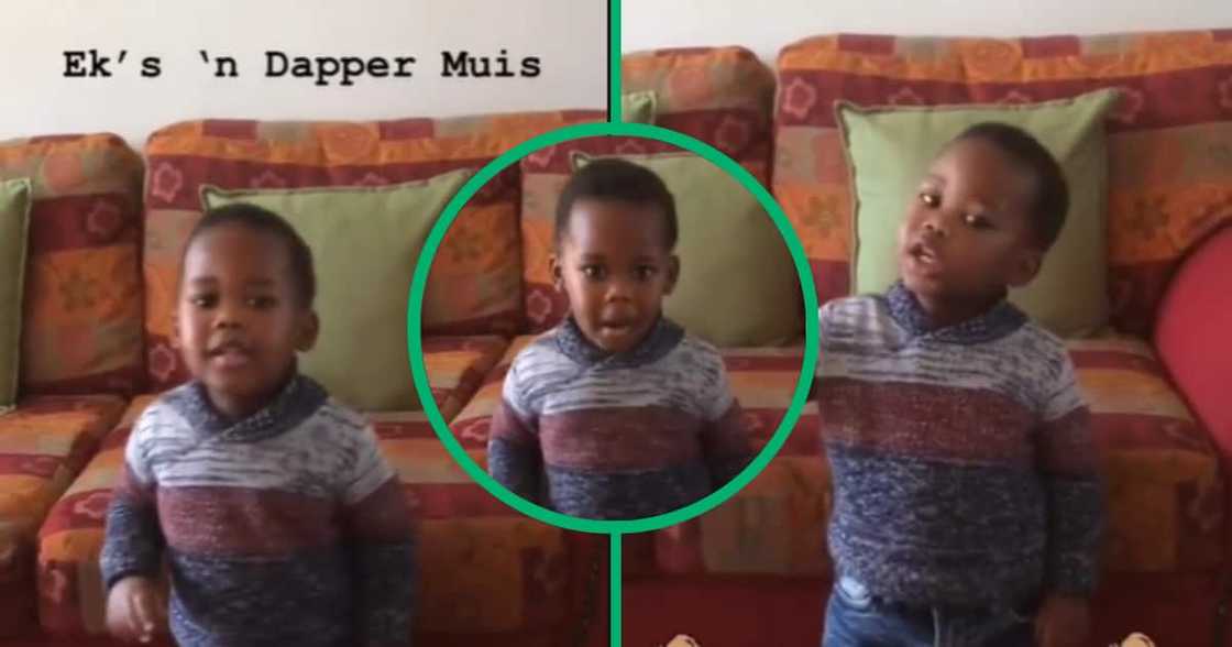 Boy, singing, TikTok video, Afrikaans, Mzansi Boy, singing, TikTok video, Afrikaans, Mzansi