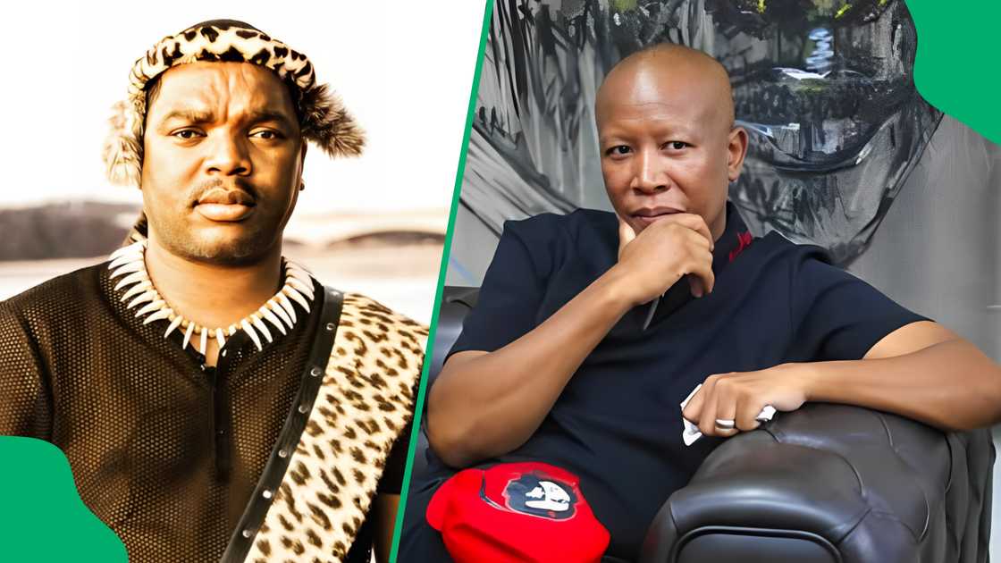 netizens reacted to Ngizwe's swipe at Malema's health