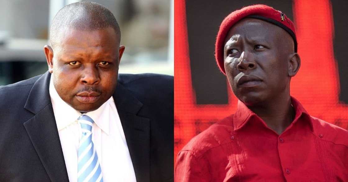 Chief Justice, Judge John Hlophe, Julius Malema Chief Justice, Judge John Hlophe, Julius Malema
