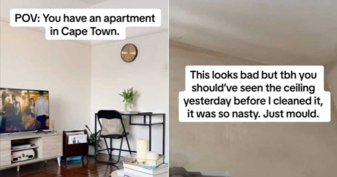 Cape Town tenant shows mould in TikTok video Cape Town tenant shows mould in TikTok video