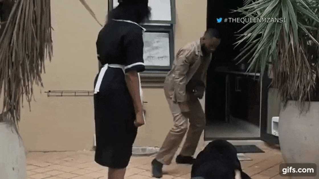 The Queen episodes The Queen episodes