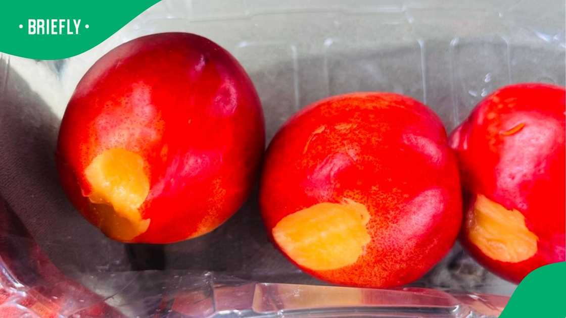 The nectarines the little girl bit. The nectarines the little girl bit.