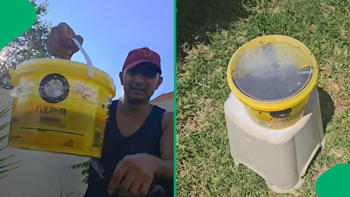 Man shows DIY fly bucket amid Gauteng fly infestation