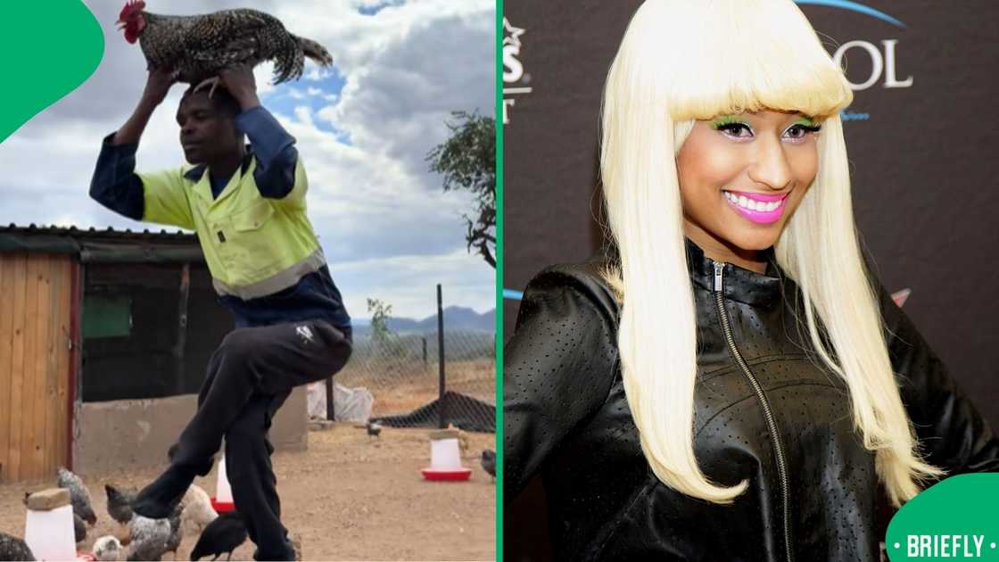 A man performing the viral Nicki Minaj Pose Challenge in a rural chicken coop was captured in a hilarious TikTok video that left South Africans in stitches