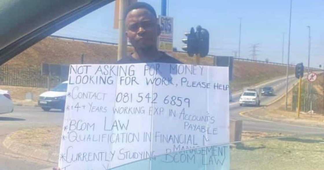 job hunt, road, unemployed job hunt, road, unemployed