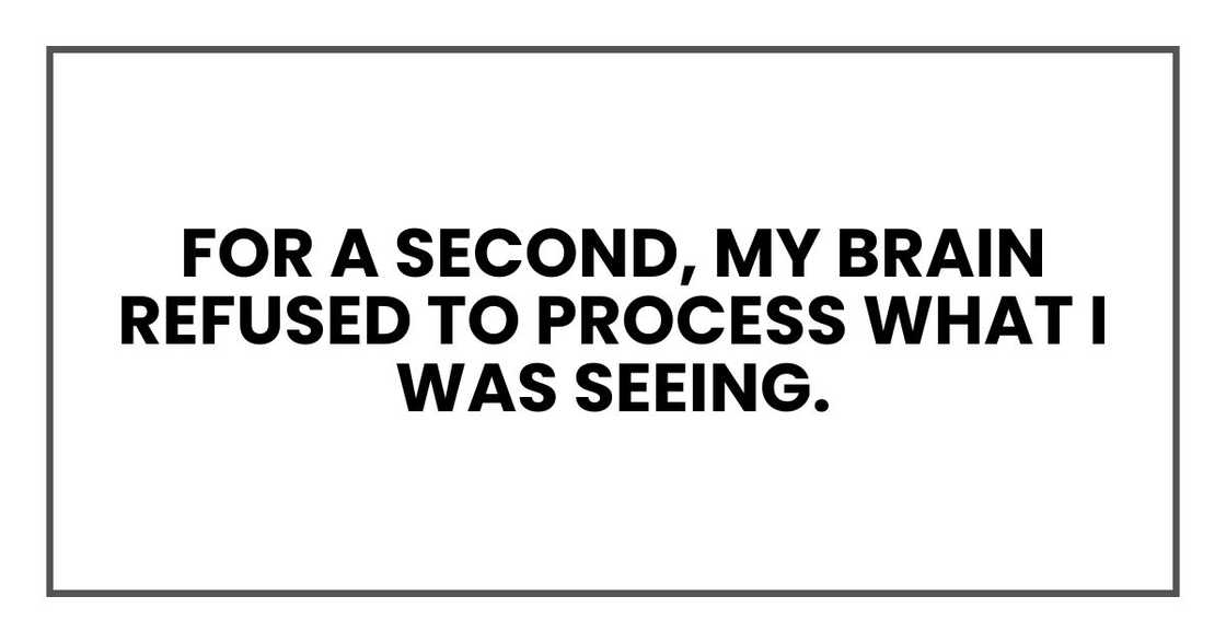 For a second, my brain refused to process what I was seeing.