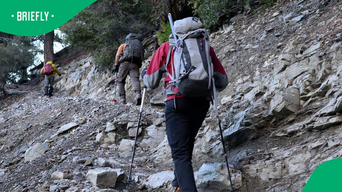 Hikers experience a hectic moment on Lion's Head Hikers experience a hectic moment on Lion's Head