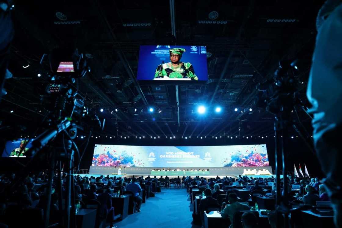 Director-General of the World Trade Organization (WTO) Ngozi Okonjo-Iweala addresses delegates during a session on fisheries subsidies during the 13th WTO Ministerial Conference in Abu Dhabi of February 26, 2024. The world's trade ministers gathered in the UAE on February 26 for a high-level WTO meeting with no clear prospects for breakthroughs, amid geopolitical tensions and disagreements.