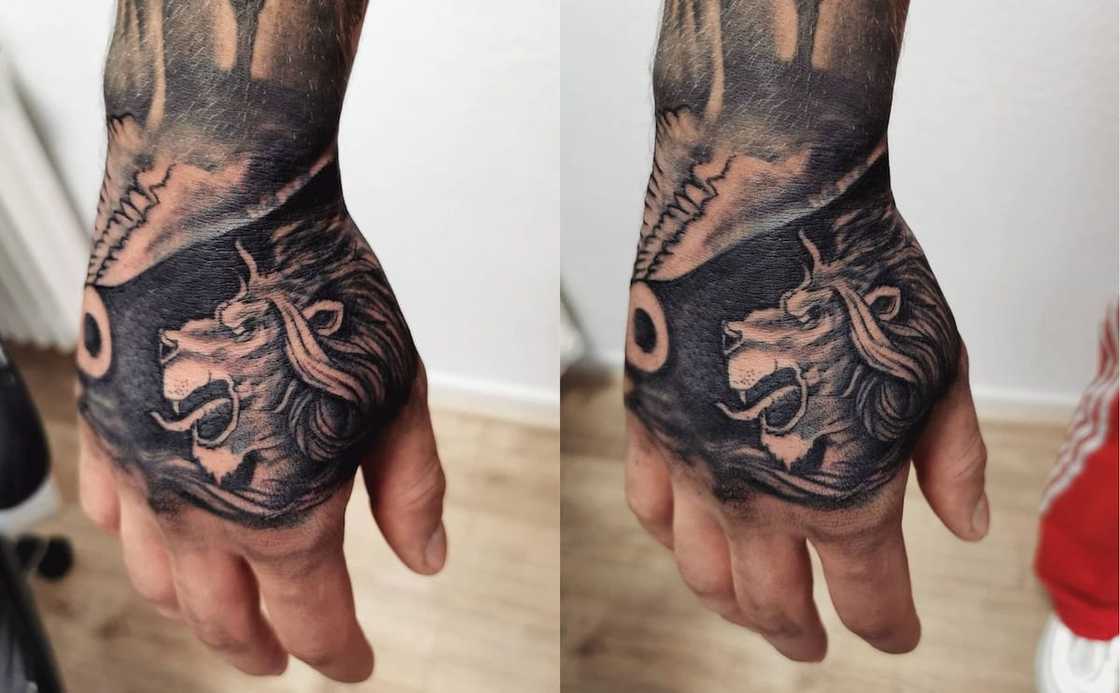 Lion tattoo Lion tattoo