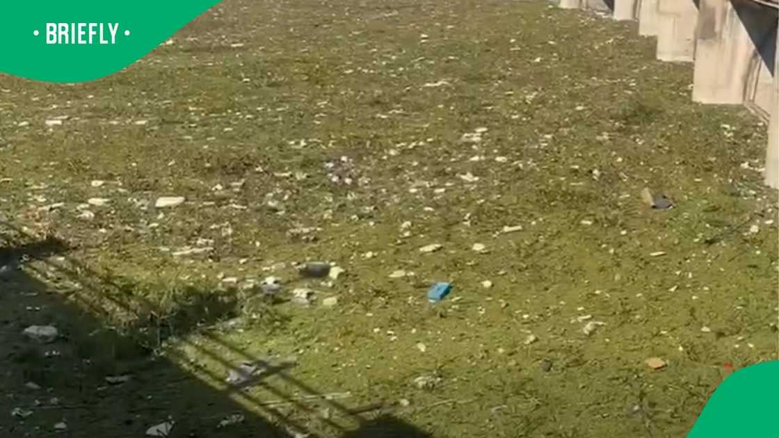 The video still captured a wide view of severe environmental pollution accumulating against the infrastructure of the reservoir The video still captured a wide view of severe environmental pollution accumulating against the infrastructure of the reservoir
