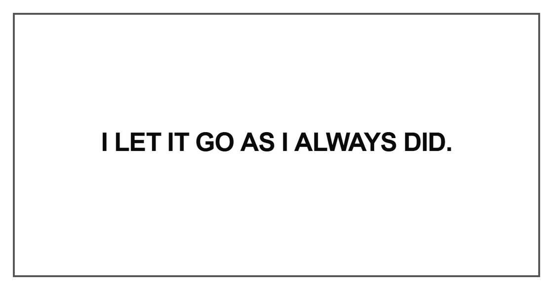 I let it go as I always did I let it go as I always did