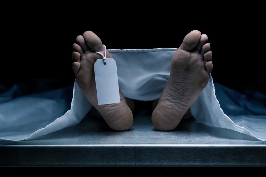 Three corpses which went missing have still not been discovered Three corpses which went missing have still not been discovered