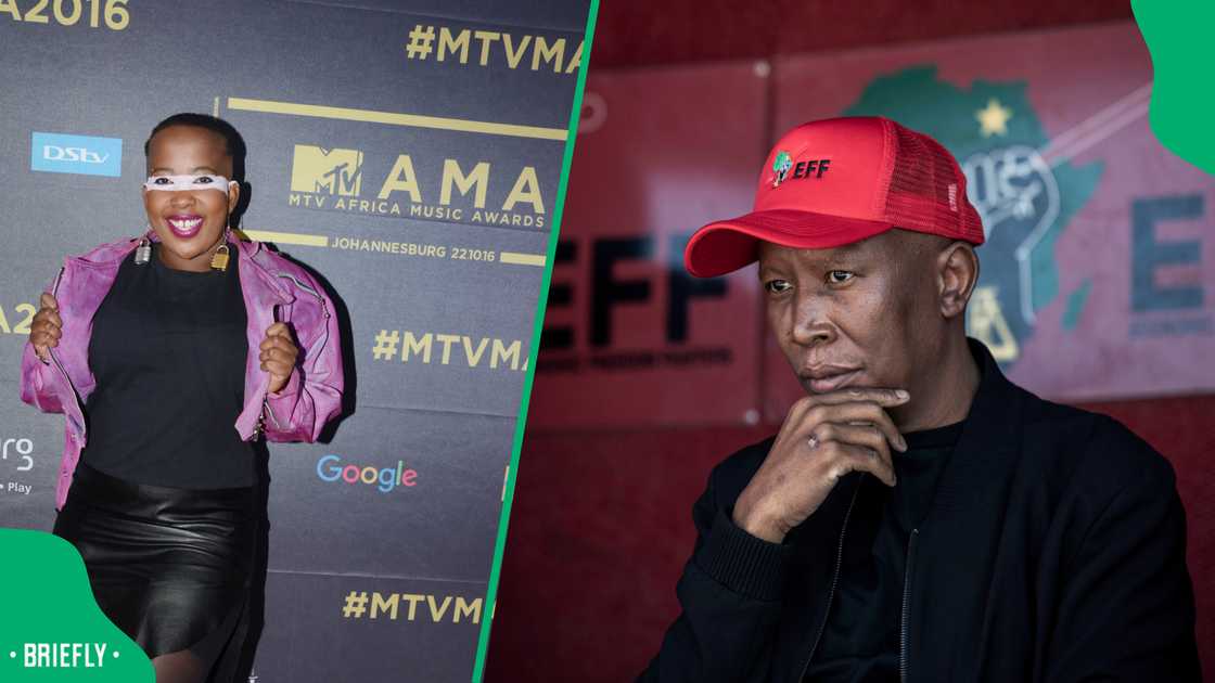 Netizens reacted to what Ntsiki had to say about Julius Malema's verdict