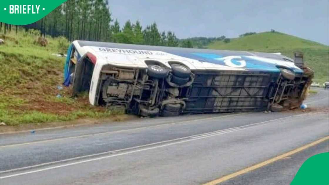 A bus crashed in Mpumalanga, leaving five people dead and several others injured