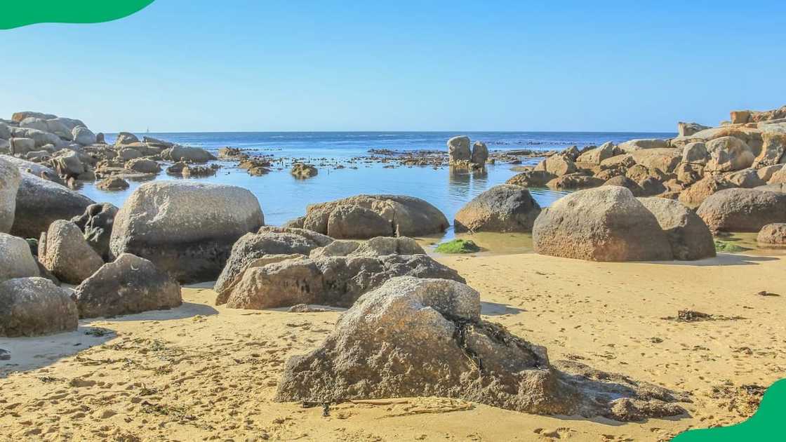 Best beaches in Cape Town Best beaches in Cape Town