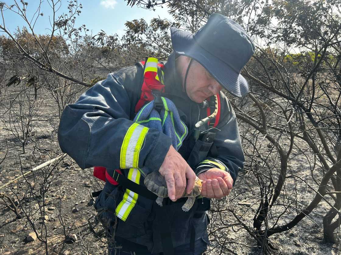 Firefighters battled to contain wildfires in the Western Cape